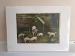 Prent van honden Bulldog / Boxer nestje, Dieren en Toebehoren, Ophalen of Verzenden, Nieuw