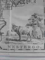 Tirion - Westergo 1786 - kopergravure, Antiek en Kunst, Ophalen