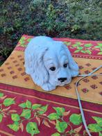 Lampje van hond, Ophalen of Verzenden, Minder dan 50 cm