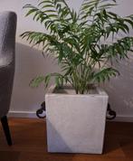 Sier potten vierkant prachtig design H:40 cm LxB 38x38 (2x), Ophalen, Steen, Overige kleuren, Zo goed als nieuw