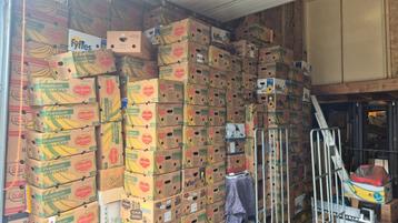 Tekoop bananen dozen handig voor verhuizen of romelmarkten  beschikbaar voor biedingen