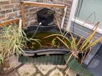 Vijverbak 220 ltr, Tuin en Terras, Vijvers, Ophalen, Gebruikt