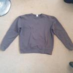 Grijze sweater zonder print, Zara, Ophalen of Verzenden, Zo goed als nieuw, Grijs