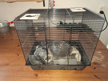 Hamsterkooi beschikbaar voor biedingen