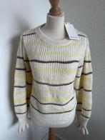 Fabienne Chapot maat XL Sun pullover Nieuw 271, Kleding | Dames, Truien en Vesten, Beige, Maat 46/48 (XL) of groter, Nieuw, Ophalen of Verzenden