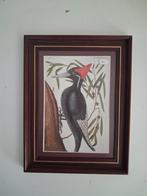 Vintage Vogelprint. Zwarte Specht, Ophalen of Verzenden, Minder dan 50 cm, Schilderij, Minder dan 50 cm