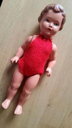Antiek mooie Schildpad pop Celluloid Schildkrot doll 27 cm, Ophalen of Verzenden, Gebruikt, Pop