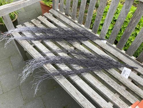 DECO TAKKEN TILLANDSIA GRIJS WIT 1 mtr NIEUW, Huis en Inrichting, Woonaccessoires | Droogbloemen, Nieuw, Ophalen of Verzenden