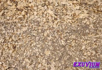 Cubaris eiwit boost (voedsel voor alle pissebedden) beschikbaar voor biedingen