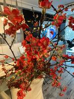 Bloessem boom rood, Huis en Inrichting, Ophalen, Zo goed als nieuw