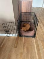 Pet Crate (small size), Ophalen, Zo goed als nieuw