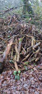 brandhout voor kampvuur, Tuin en Terras, Haardhout, Minder dan 3 m³, Ophalen