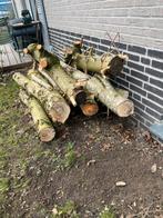Boomstammen, haardhout, brandhout, Tuin en Terras, Haardhout, Minder dan 3 m³, Ophalen, Overige houtsoorten, Stammen