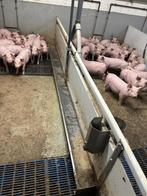 Hokinrichting voor biggen [523], Dieren en Toebehoren, Stalling en Weidegang, Boekhorst Trading, Info@boekhorsttrading.com, Singel 16, Horssen