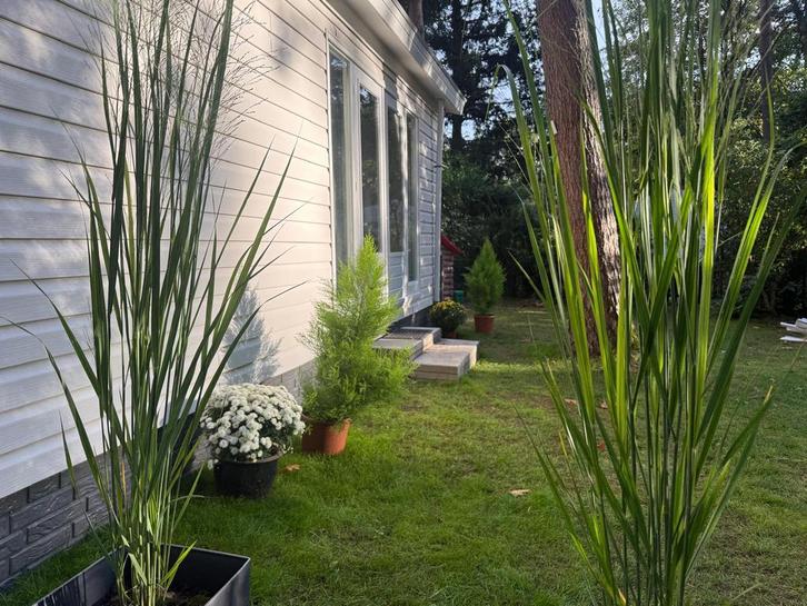 Chalet op De Dikkenberg, Bennekom, Veluwe, Caravans en Kamperen, Caravan accessoires, Gebruikt, Ophalen
