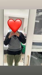 Grijs Gebreid Hesje, Ophalen of Verzenden, Zo goed als nieuw, Maat 36 (S), Grijs