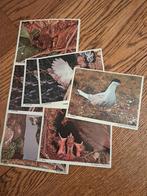 De Spaarbank vintage plaatjes, diverse thema's, Ophalen of Verzenden, Zo goed als nieuw, Meerdere plaatjes