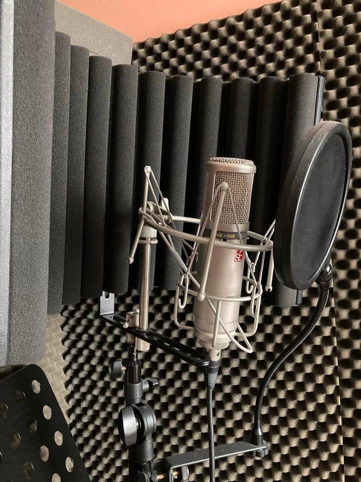 SE 2200 A Studio Microfoon Set Compleet, Muziek en Instrumenten, Microfoons, Zo goed als nieuw, Studiomicrofoon, Ophalen