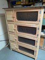 Flat 4 etages, Dieren en Toebehoren, Knaagdieren en Konijnen | Hokken en Kooien, Ophalen, 110 cm of meer, Nieuw, Hamster