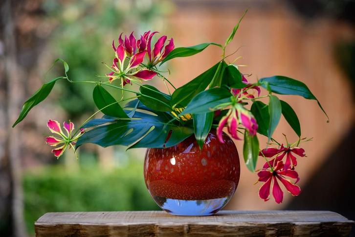 Nieuw zware rode bolvaas van Dutz / Henry Dean, Huis en Inrichting, Woonaccessoires | Vazen, Nieuw, Rood, Minder dan 50 cm, Glas