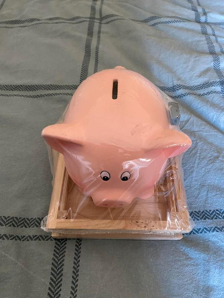 Spaarvarken nieuw!, Verzamelen, Spaarpotten, Nieuw, Dier, Steen, Aardewerk of Keramiek, Ophalen of Verzenden