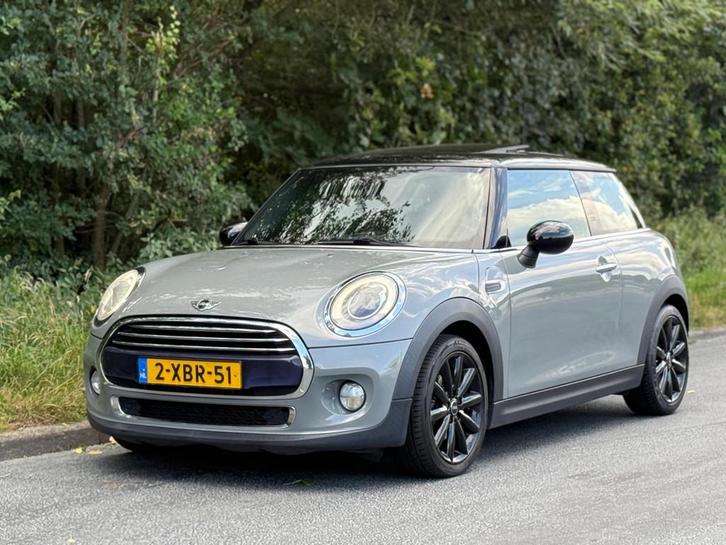 Mini Mini 1.5 Cooper Chili Pano|Leer|Sport!, Auto's, Mini, Bedrijf, Te koop, Cooper, ABS, Airbags, Airconditioning, Bluetooth