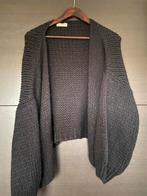 Vest beau regard zwart, Kleding | Dames, Ophalen of Verzenden, Zo goed als nieuw, Zwart