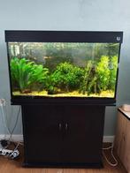 Te koop: Trofis 205 liter met vissen en alle toebehoren, Dieren en Toebehoren, Vissen | Aquaria en Toebehoren, Ophalen, Gebruikt