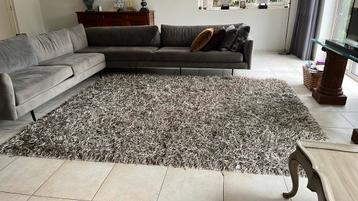 Karpet handgeknoopt Nash Andrea 250x 300 beschikbaar voor biedingen