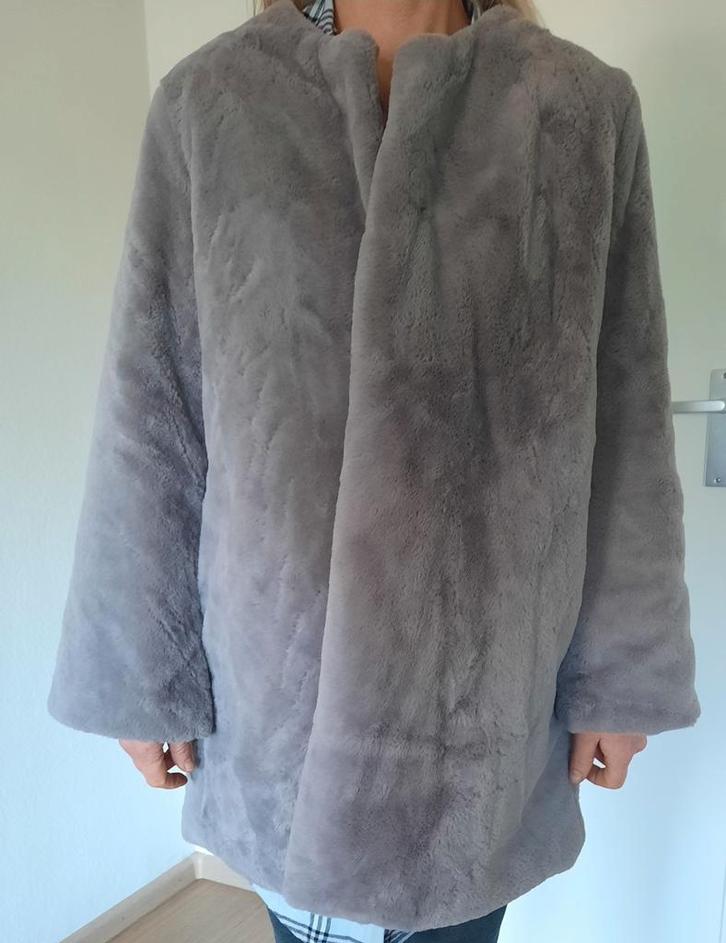 Red Queen jas winterjas grijs 36 38 izgs, Kleding | Dames, Jassen | Winter, Zo goed als nieuw, Maat 36 (S), Grijs, Ophalen of Verzenden