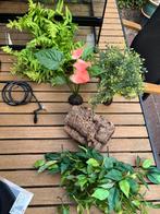 Decoratie terrarium o.a. ExoTerra, Dieren en Toebehoren, Reptielen en Amfibieën | Toebehoren, Ophalen of Verzenden, Gebruikt, Tak, Plant, Rots of Steen