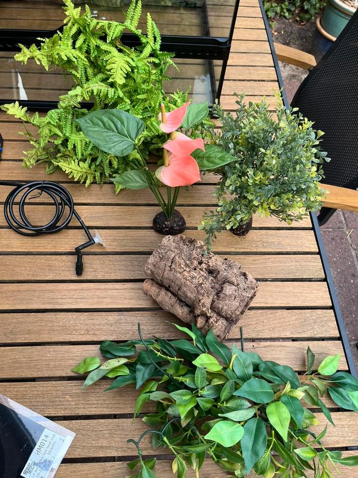 Decoratie terrarium o.a. ExoTerra, Dieren en Toebehoren, Reptielen en Amfibieën | Toebehoren, Gebruikt, Tak, Plant, Rots of Steen