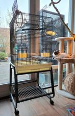 Strong vogelkooi incl toebehoren, Dieren en Toebehoren, Ophalen, Gebruikt, Metaal, Vogelkooi