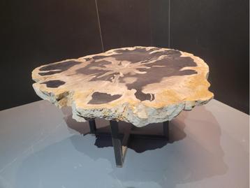 Unieke salon of bijzettafel van VERSTEEND HOUT beschikbaar voor biedingen