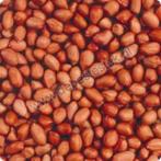 19kg gepelde pinda's incl. verzending, Nieuw, Ophalen of Verzenden, Nvt, Eten en Drinken