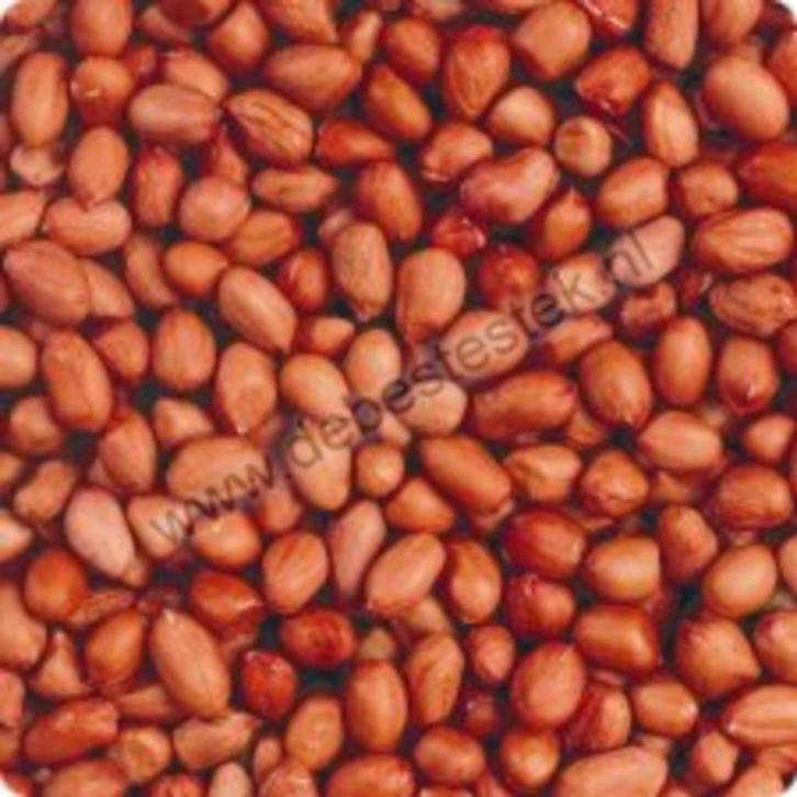 19kg gepelde pinda's incl. verzending, Dieren en Toebehoren, Vogels | Toebehoren, Nieuw, Eten en Drinken, Ophalen of Verzenden