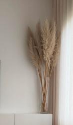 10 pampas pluimen, Ophalen