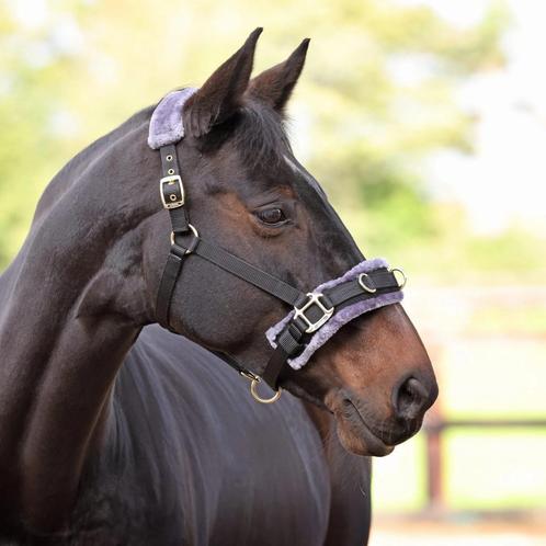 Shires Arma kaptoom Zwart, Pony, Cob, Full, Dieren en Toebehoren, Paarden en Pony's | Hoofdstellen en Tuigage, Nieuw, Ophalen of Verzenden