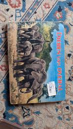 Full speed cigarettes, Verzamelen, Ophalen of Verzenden