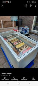 Ijsvitrine verrijdbaar voor 11 bakken schepijs ., Ophalen, Zo goed als nieuw, 160 cm of meer