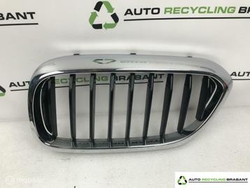 Grill Links BMW 5-serie 7473691 beschikbaar voor biedingen
