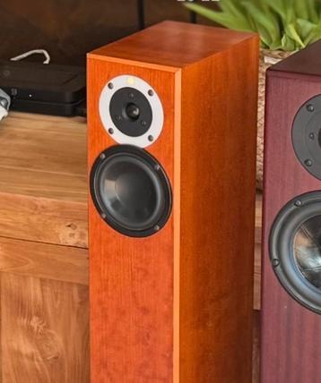 Totem Arro luidsprekers met claws beschikbaar voor biedingen