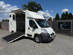 PEUGEOT BOXER 2014 PAARDENWAGEN 113.000KM - BTW WAGEN, Dieren en Toebehoren, Ophalen, Gebruikt, Overige materialen, Overige typen