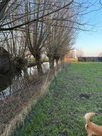 Knotwilgen en hakhout snoeien, Tuin en Terras, Haardhout, Ophalen