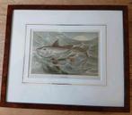 Chimera P.J. Smit Ingelijste Print, Antiek en Kunst, Kunst | Etsen en Gravures, Ophalen of Verzenden