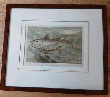 Chimera P.J. Smit Ingelijste Print beschikbaar voor biedingen