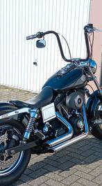 Le Pera  buddyseat  harley dyna, Motoren