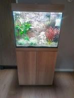 Juwel Lido 120 Aquarium compleet, Ophalen, Zo goed als nieuw, Gevuld zoetwateraquarium