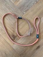 Hondenriem / sliplijn / sliphalslijn / leiband, Ophalen of Verzenden, Gebruikt, Hondenriem