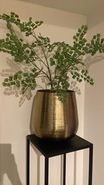 Gouden bloempot en zijde plant, Ophalen, Zo goed als nieuw